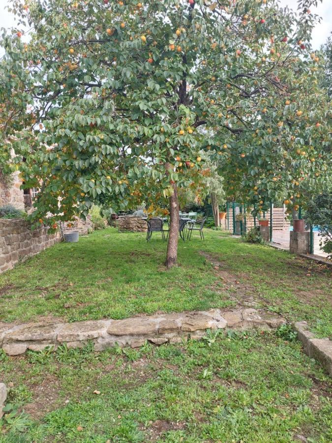Le Mas Du Galibot Chambre Cambalotte Saint-Florent-sur-Auzonnet Ngoại thất bức ảnh